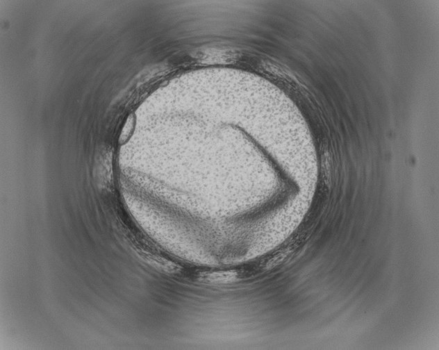 X0000069380554200606091653