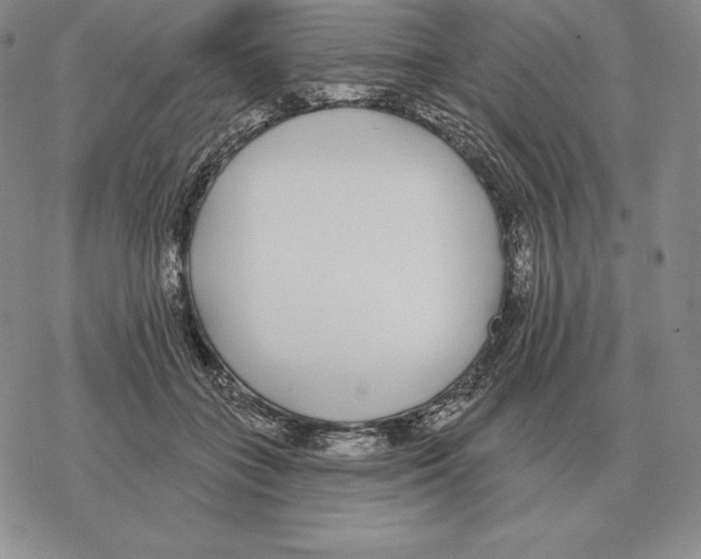 X0000069380555200606091653