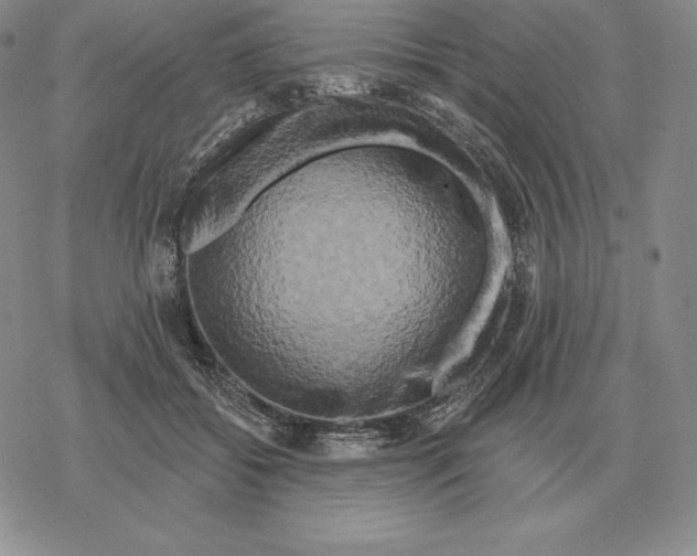 X0000069380556200606091654