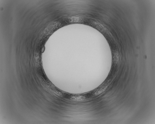 X0000069380557200606091654