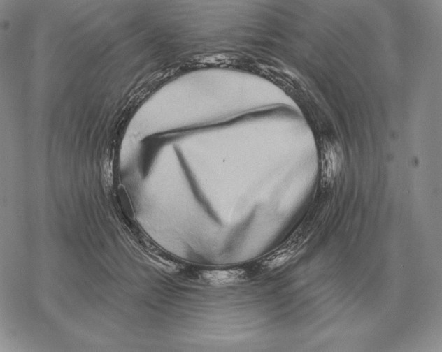 X0000069380558200606091654