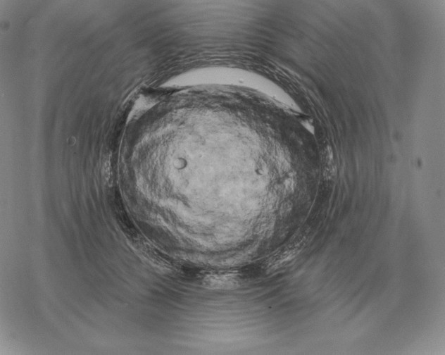 X0000069380560200606091654