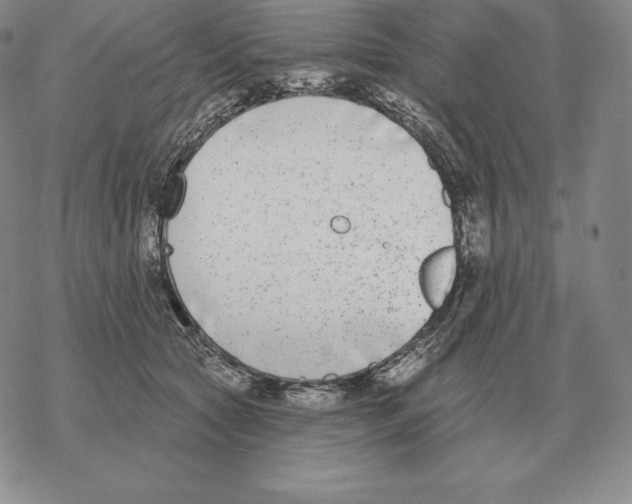 X0000069380561200606091654