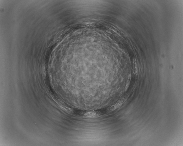 X0000069380562200606091654