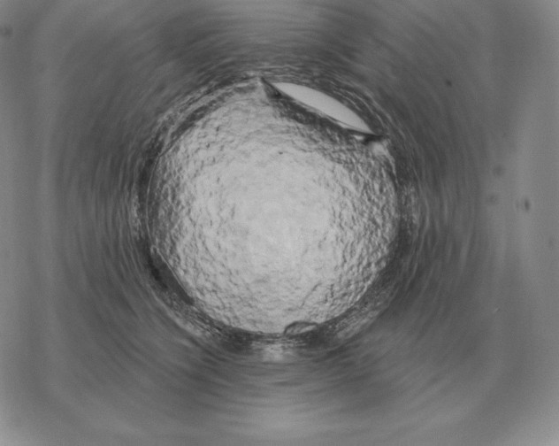 X0000069380564200606091654