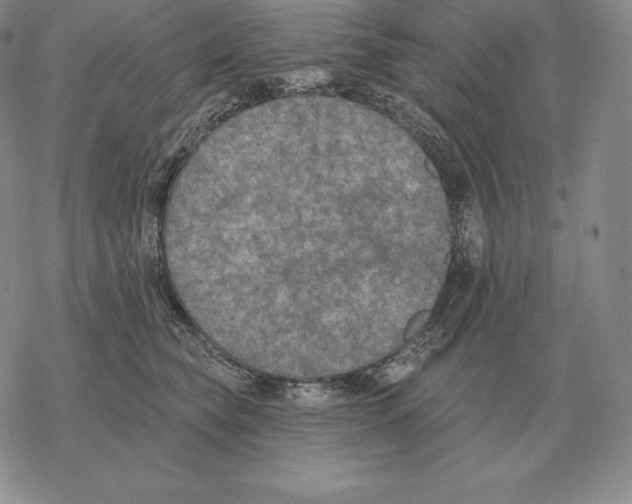 X0000069380565200606091654