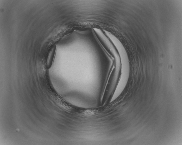 X0000069380566200606091654