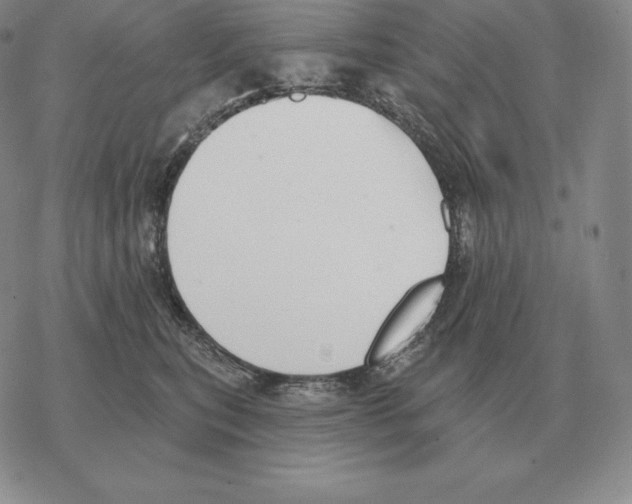 X0000069380567200606091654