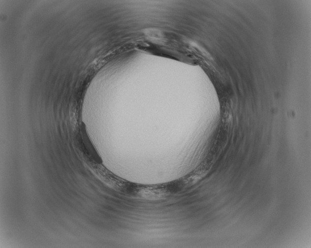 X0000069380568200606091654