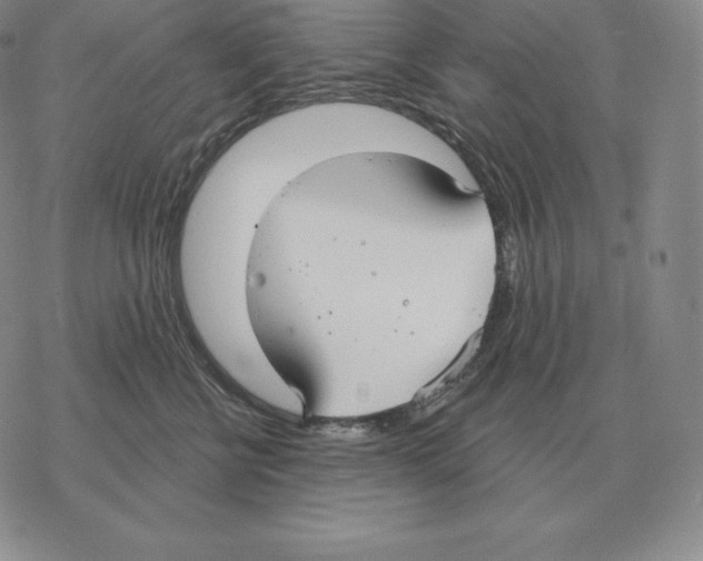 X0000069380570200606091654