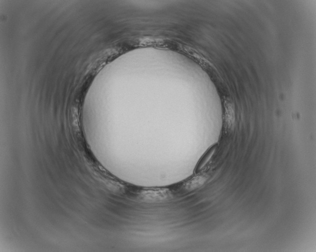 X0000069380571200606091654