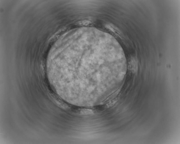 X0000069380572200606091654