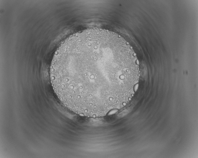 X0000069380573200606091654