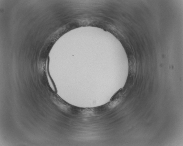 X0000069380574200606091654