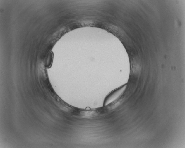 X0000069380575200606091654