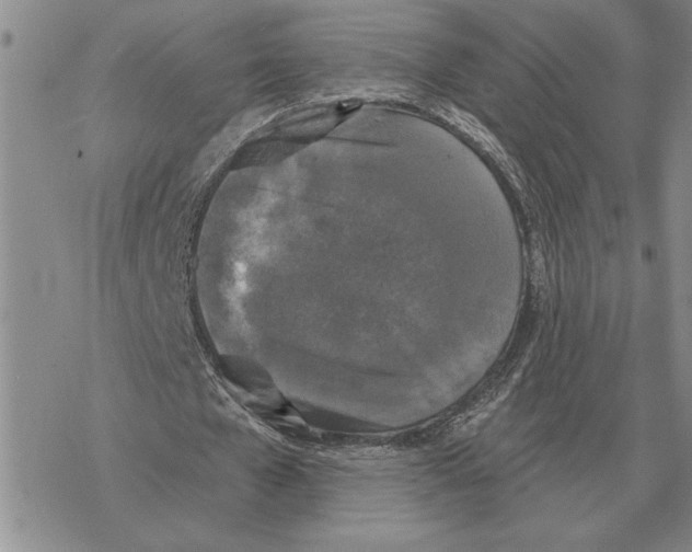 X0000069380577200606091653