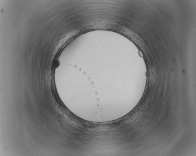 X0000069380578200606091653