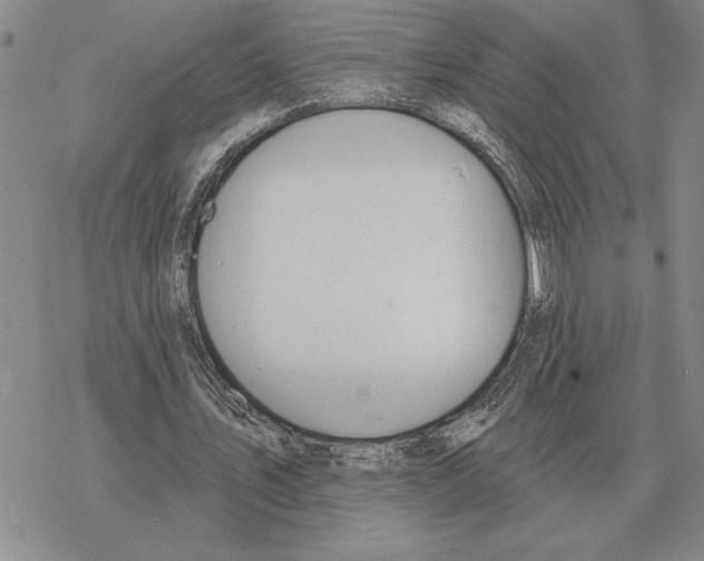 X0000069380579200606091653