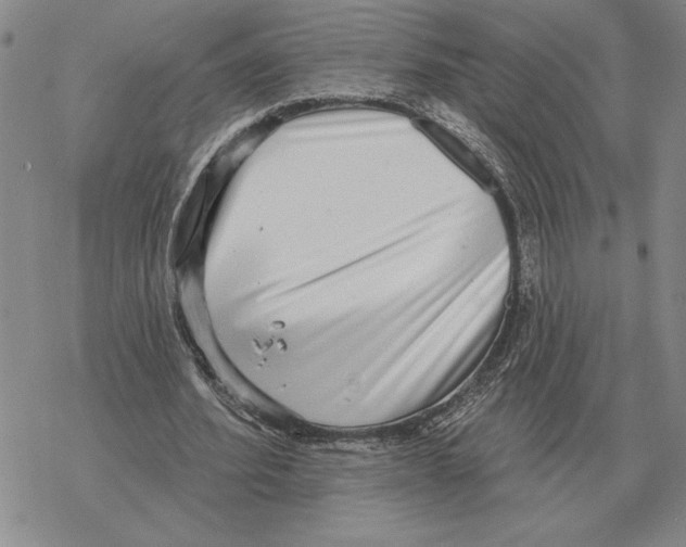 X0000069380580200606091653