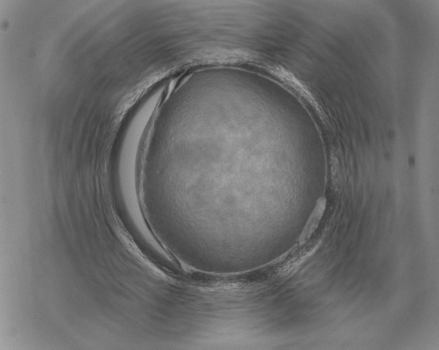 X0000069380581200606091653