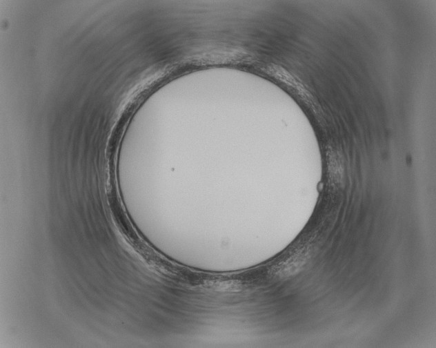 X0000069380582200606091653