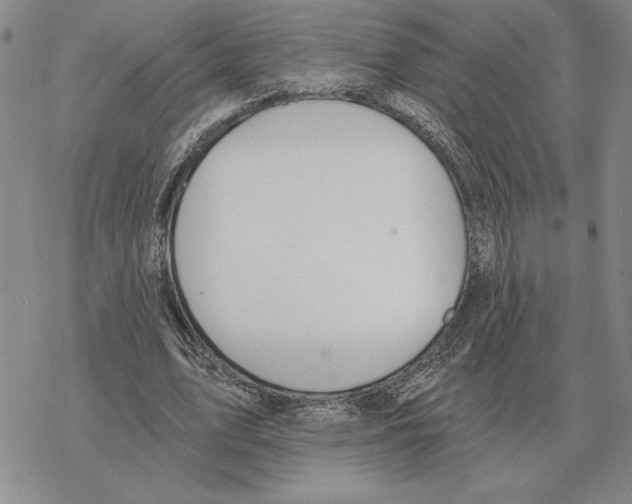 X0000069380583200606091653