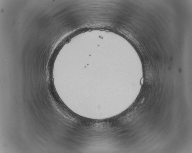 X0000069380584200606091653