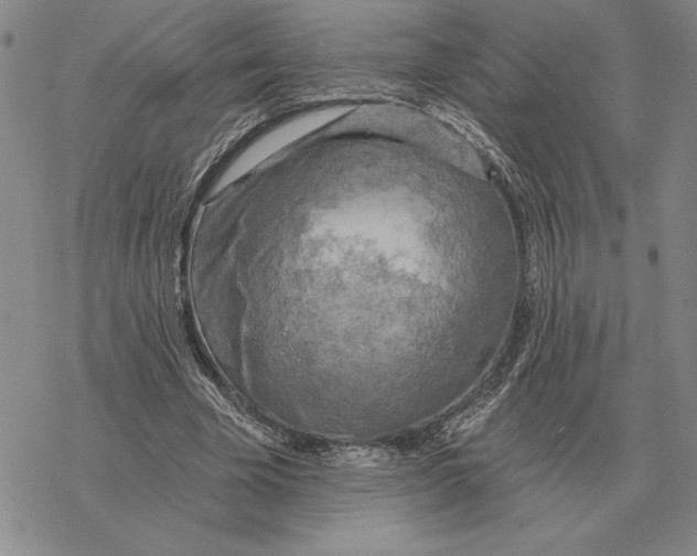 X0000069380585200606091653