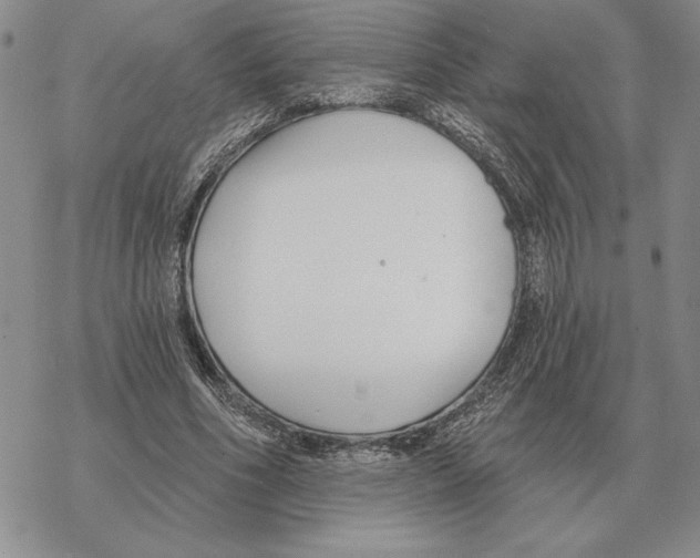 X0000069380586200606091653