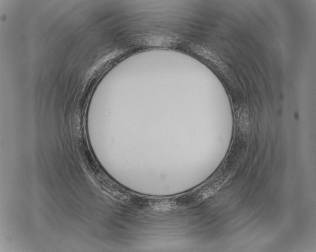 X0000069380587200606091653