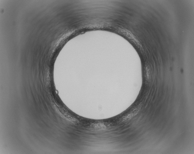 X0000069380588200606091653