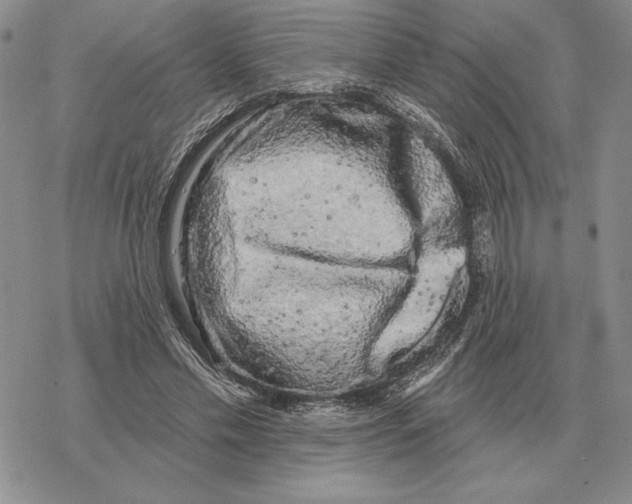 X0000069380589200606091653