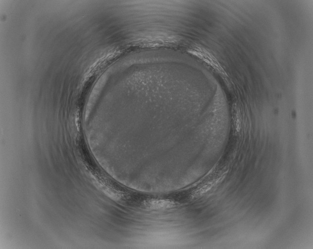 X0000069380590200606091653