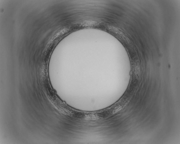 X0000069380591200606091653