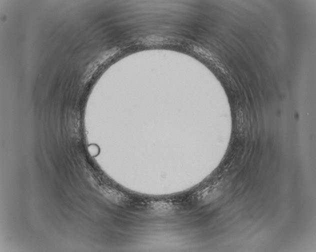 X0000069380592200606091653