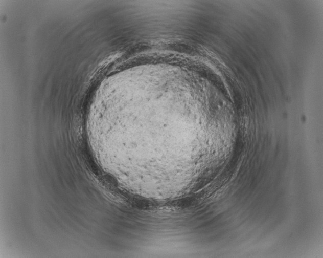 X0000069380593200606091653