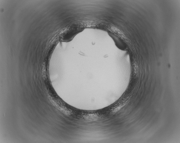 X0000069380594200606091653