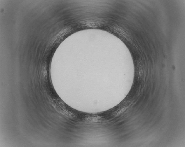 X0000069380595200606091653