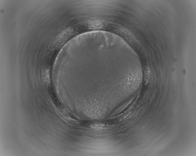 X0000069380598200606091653