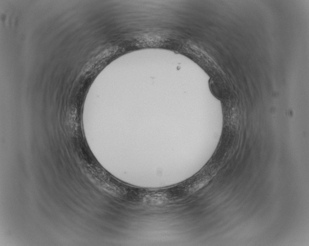 X0000069380599200606091653