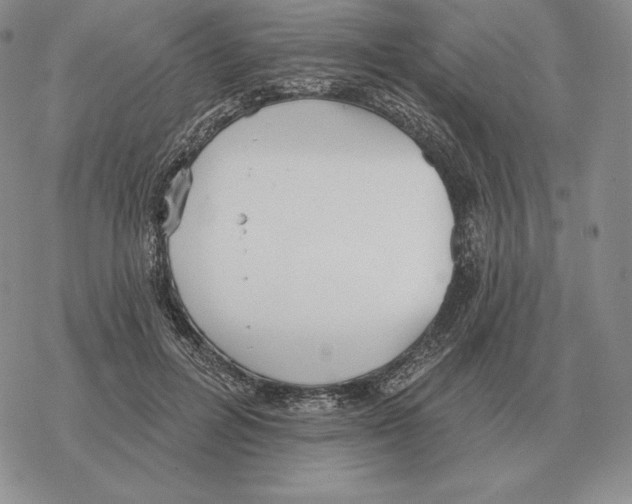 X0000069380600200606091653