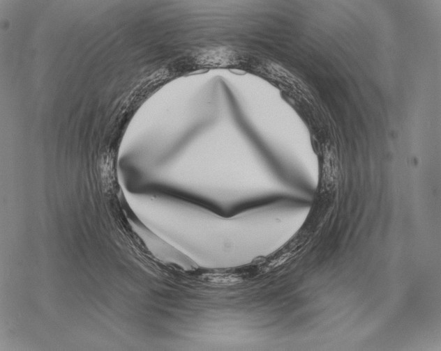 X0000069380601200606091653