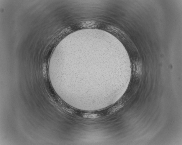 X0000069380602200606091653