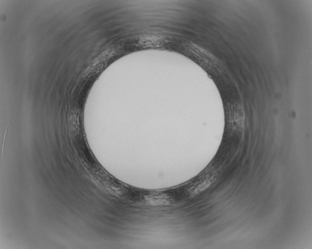 X0000069380603200606091653