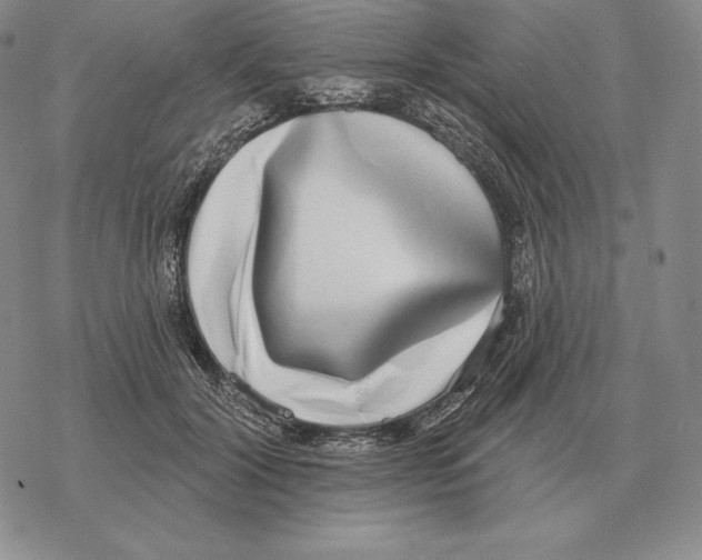 X0000069380604200606091653