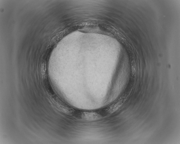 X0000069380605200606091653