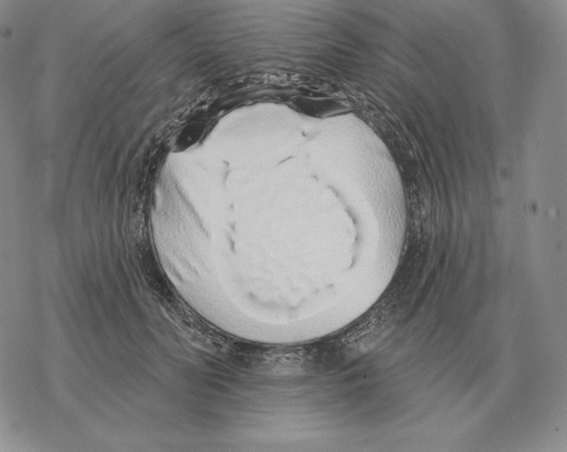 X0000069380606200606091653