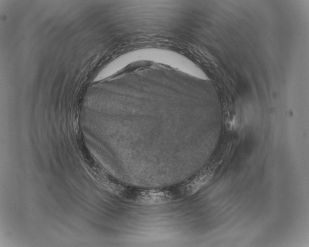 X0000069380607200606091653