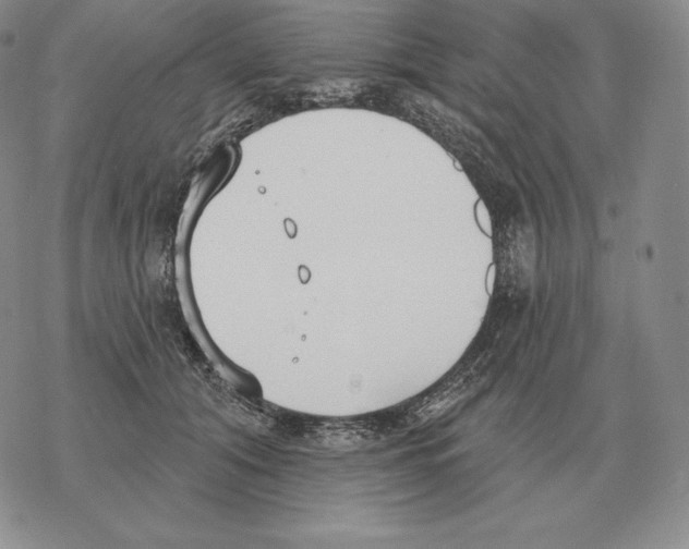 X0000069380608200606091653