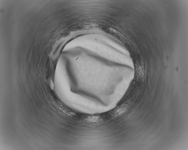 X0000069380609200606091653